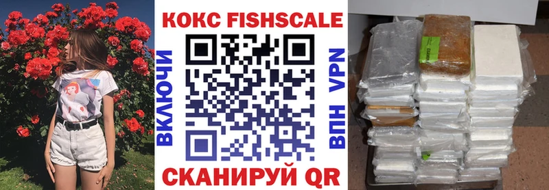 Cocaine FishScale  mega ссылка  Чекалин 