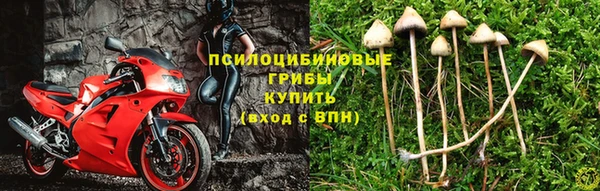 2c-b Абдулино