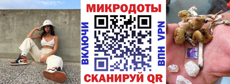 Галлюциногенные грибы GOLDEN TEACHER  цена наркотик  Чекалин 