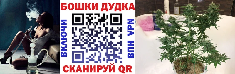 купить наркоту  Чекалин  Каннабис сатива 
